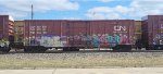 CNA 404857